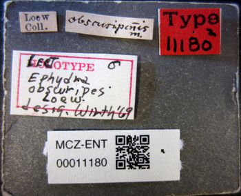Media type: image;   Entomology 11180 Aspect: labels